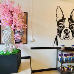 Pamper 4 Paws