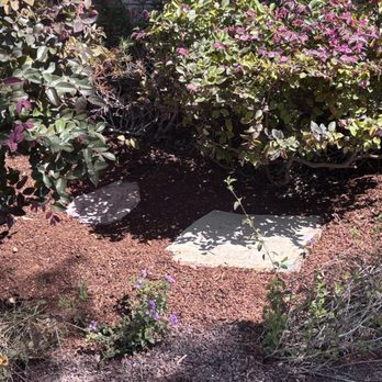 Evermont Landscape - The repurposed flagstones. - Landscaping Near Me - Richmond, California Evermont Landscape - The repurposed flagstones. - Landscaping Near Me - Richmond, California