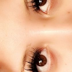 Bliss Lashes