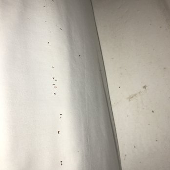 Coco Tulum Hotel - Termite larva found on our beds - Hotels Near Me - Tulum, ROO