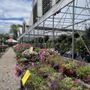 Photo of Flower Power Farm