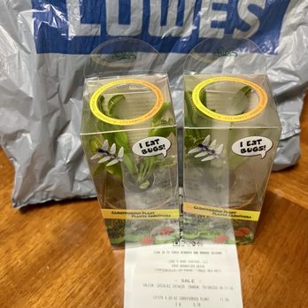 Lowe's Home Improvement - Venus Fly Traps! - Hardware Stores Near Me - Simpsonville, South Carolina Lowe's Home Improvement - Venus Fly Traps! - Hardware Stores Near Me - Simpsonville, South Carolina