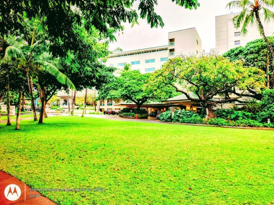 The Queen's Medical Center by null