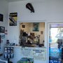 Photo of F & J Tune & Lube
