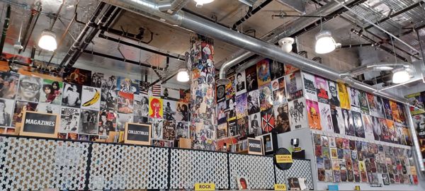 Amoeba Music by null