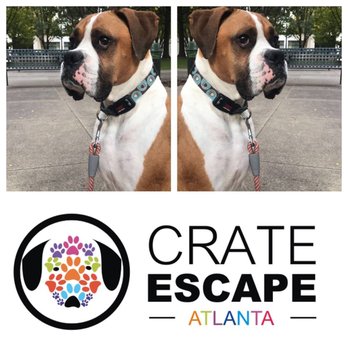 Crate Escape Atlanta - Crate Escape Atlanta Fur Baby enjoying his private walk. - Dog Walkers Near Me Crate Escape Atlanta - Crate Escape Atlanta Fur Baby enjoying his private walk. - Dog Walkers Near Me