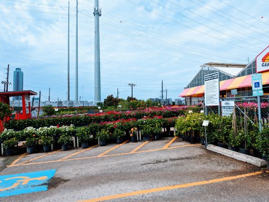 Houston Garden Centers