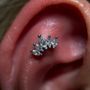 Photo of Asere My Piercing