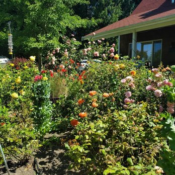 Purple Haze Lavender Farm - Flowers & Gifts Near Me - Sequim, Washington