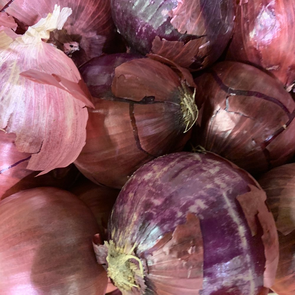 Annapolis NSA Commissary - How long have these onions been sitting out? - Grocery Near Me - Annapolis, Maryland