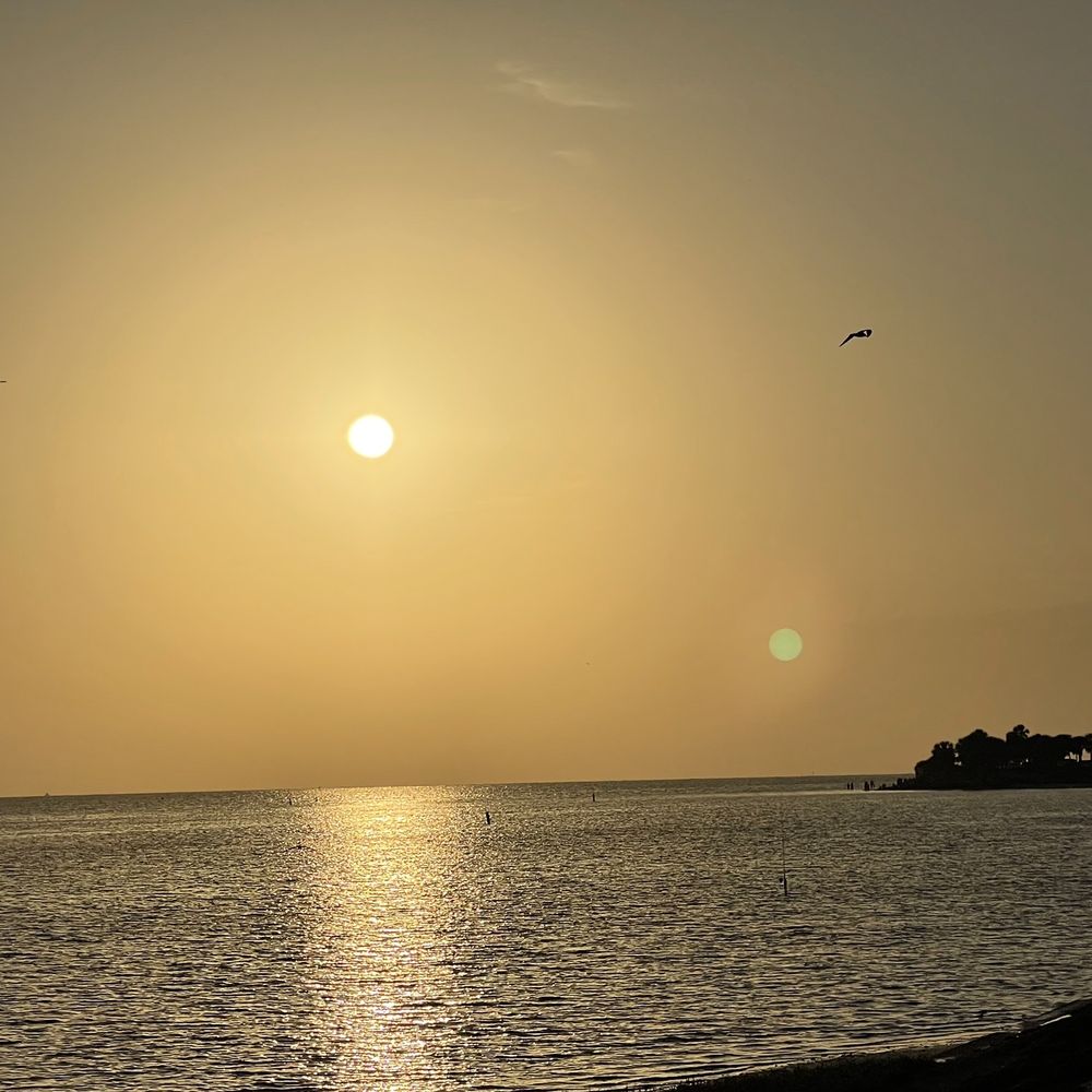 Fred Howard Park - Sunset - Parks Near Me - Tarpon Springs, Florida Fred Howard Park - Sunset - Parks Near Me - Tarpon Springs, Florida