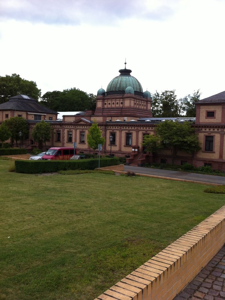 Kur Royal Bad Homburg Bewertung Kur Royal Bad Homburg Bewertung