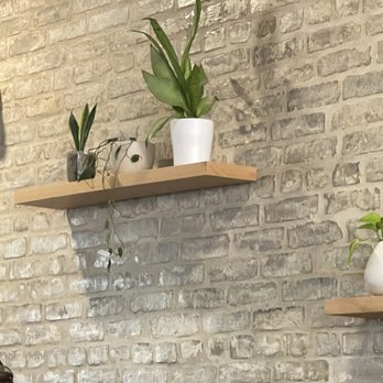 Bearcat CBD - Coffee & Tea Near Me - New Orleans, Louisiana