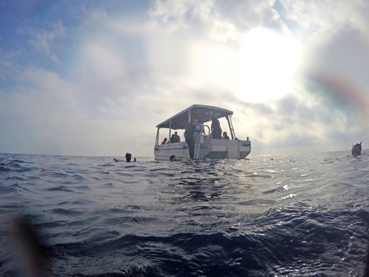 Coral Expeditions - Small Ship Cruising by null