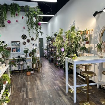 THE PLANT LADY'S HOUSE - Updated December 2025 - 23 Photos & 13