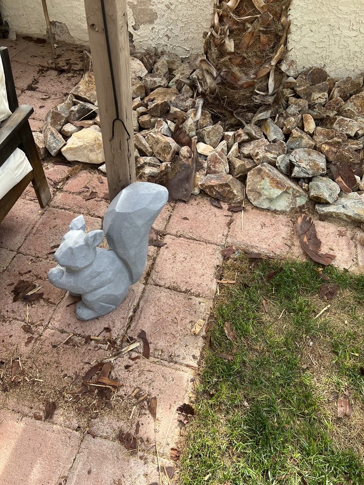 Aron's Tree Service - tree service in Las Vegas, NV