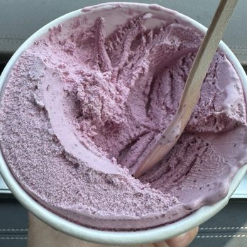 Rosy Farms - Haskap ice cream - Farms Near Me - Alcomdale, Alberta