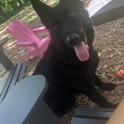 Rivers Edge Pet Resort