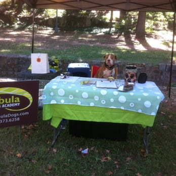 Jabula Dog Academy - MoJo working our booth... - Pet Training Near Me - Decatur, Georgia