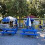 Photo of Barefoot Bubbas