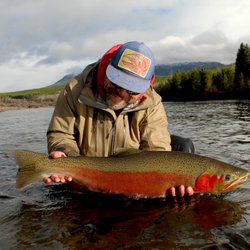 Lost Forest Fishing