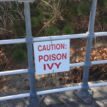 Pavilion at Sunken Meadow - Be careful- poison ivy - Parks Near Me - Kings Park, New York