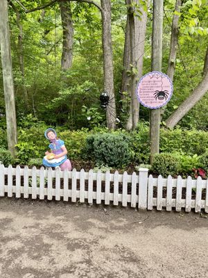 Idlewild & SoakZone by null