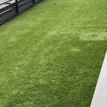 Venn at Main Apartments - Dog rub - Apartments Near Me - Bellevue, Washington Venn at Main Apartments - Dog rub - Apartments Near Me - Bellevue, Washington