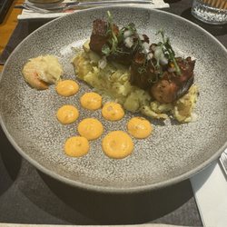 Piscomar - Octopus