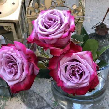 Flowers For A Friend - They are from Ecuador! Beautiful - Florists Near Me - Honolulu, Hawaii Flowers For A Friend - They are from Ecuador! Beautiful - Florists Near Me - Honolulu, Hawaii