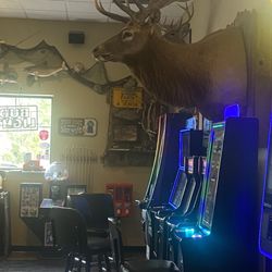 Woodeye's Bar & Grill - Inside displays