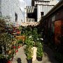 Photo of Mappins Nursery+Aquarium
