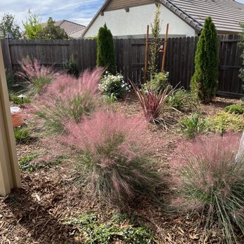 Geremia Pools & Landscaping - View from patio in mid-October - Landscaping Near Me - Sacramento, California