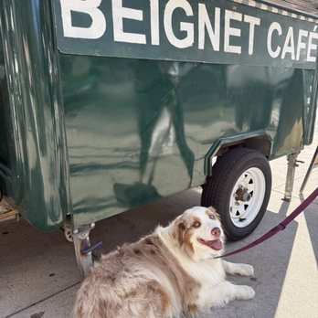 Beignet Cafe - Coffee & Tea Near Me - New York, New York