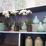 Photo of Vegetal Factory