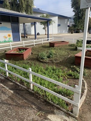 Modern Educational Environment