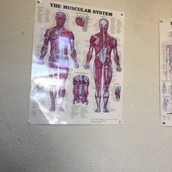 Fata Acupuncture - The body
