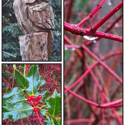 Forstbotanischer Garten und Friedenswald
