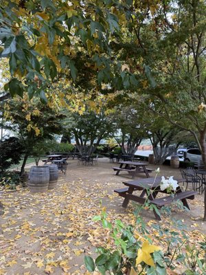 Dry Creek Vineyard by null