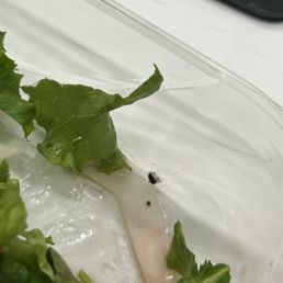 BUG in the food omg