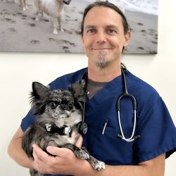 San Marcos Blvd Veterinary Hospital and Urgent Care - Dr. Todd Bowdre