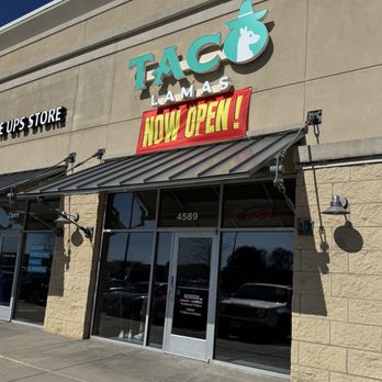 Taco Lamas - Mexican Near Me - Hoffman Estates, Illinois
