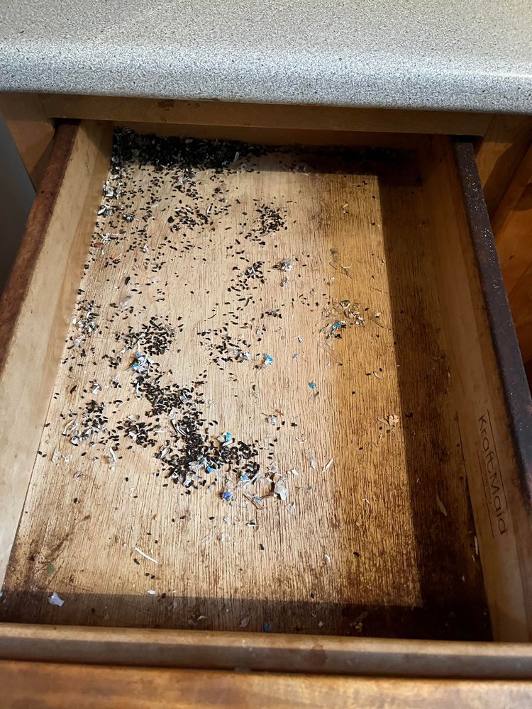 Spark And Shine Cleaning