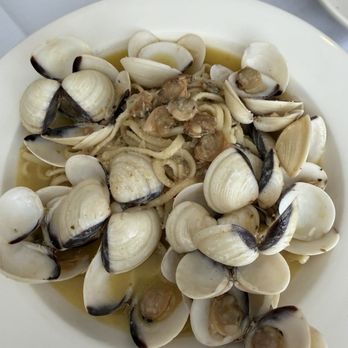 Pasta Flavio - Linguine with clams in white sauce - Italian Near Me - Livingston, New Jersey Pasta Flavio - Linguine with clams in white sauce - Italian Near Me - Livingston, New Jersey