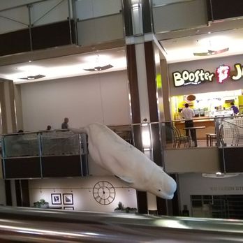 World Exchange Plaza - The beluga whale hanging in the atrium. - Food Court Near Me - Ottawa, Ontario World Exchange Plaza - The beluga whale hanging in the atrium. - Food Court Near Me - Ottawa, Ontario