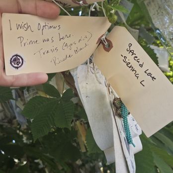 The Wishing Tree - Leave a wish - Local Flavor Near Me - Portland, Oregon