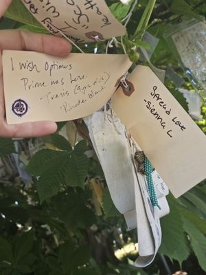The Wishing Tree by null