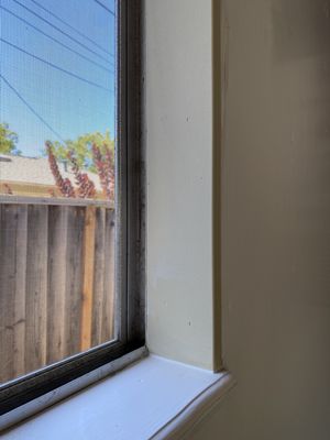 THRASHER TERMITE & PEST CONTROL - Updated January 2025 - 27 Photos