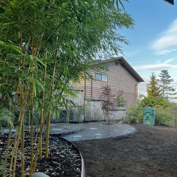 Bamboo Collective - Nurseries & Gardening Near Me - Seattle, Washington Bamboo Collective - Nurseries & Gardening Near Me - Seattle, Washington