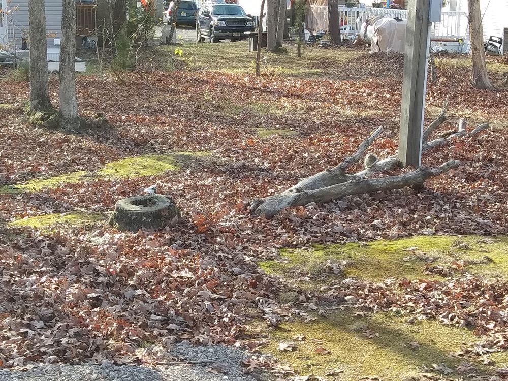 PINEWOOD ESTATES MANUFACTURED HOME COMMUNITY Request Information 11